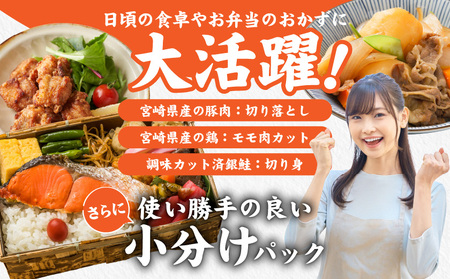 ≪肉×魚≫小分け3種セット(豚切り落とし250g×2P・鶏モモカット済300g×2P・銀鮭500g)_13-8402_(都城市) 小分けパック 冷凍 お弁当 おかず