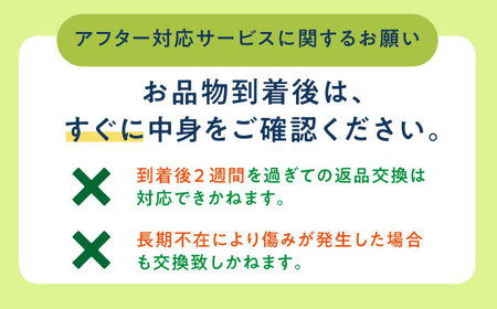 【先行予約メロン】【2024年8月初旬発送分】【糖度14以上】メロン アールスメロン 約4kg（2玉）《小値賀町》マスクメロン【ながさき西海農協小値賀地区園芸部会】[DAT002]  メロン マスクメ