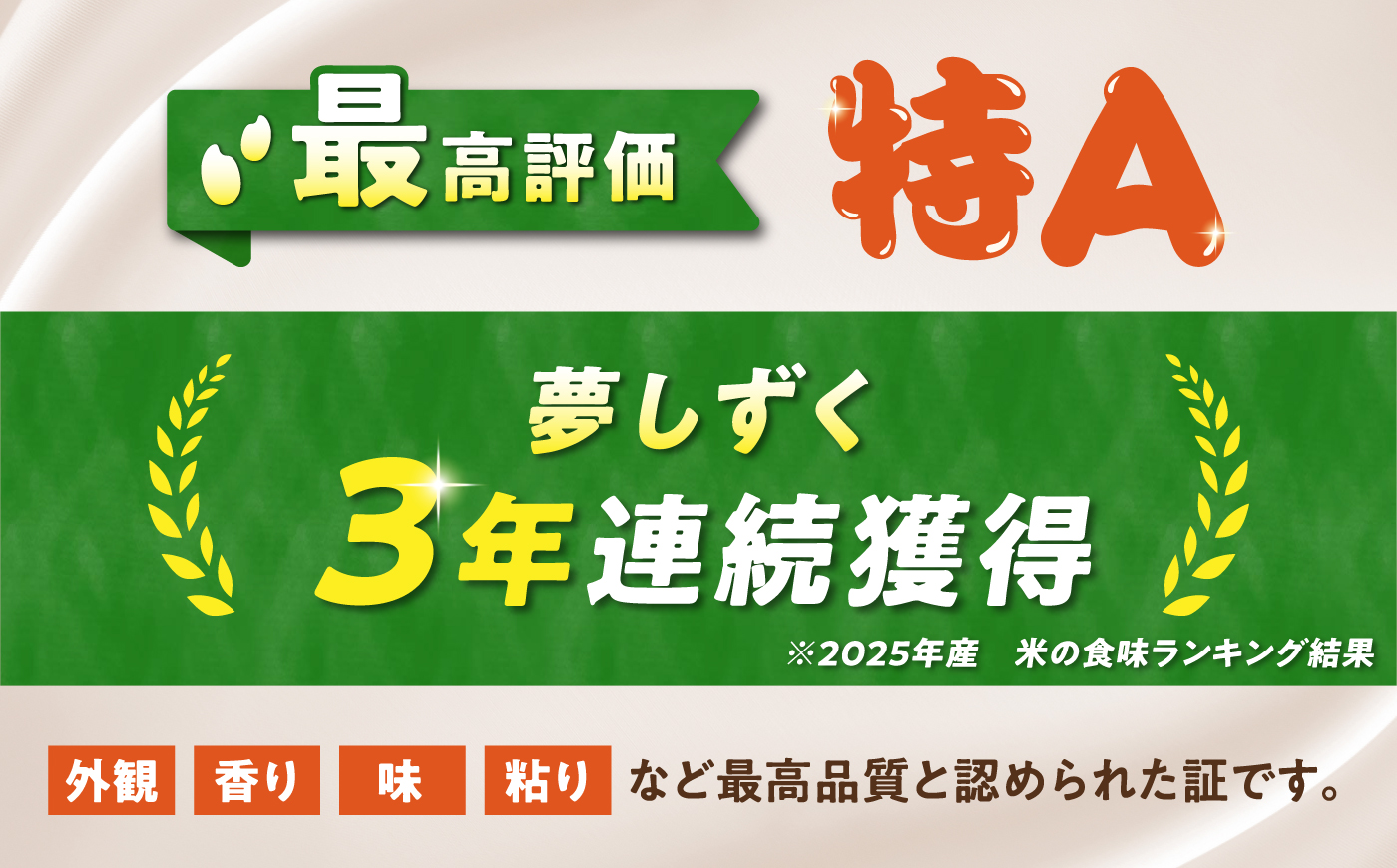 【6回定期便】 無洗米 夢しずく 5kg（5kg×1袋） 無洗米 お米 白米 精米 佐賀県産 米 /大塚米穀店 [UFE012]