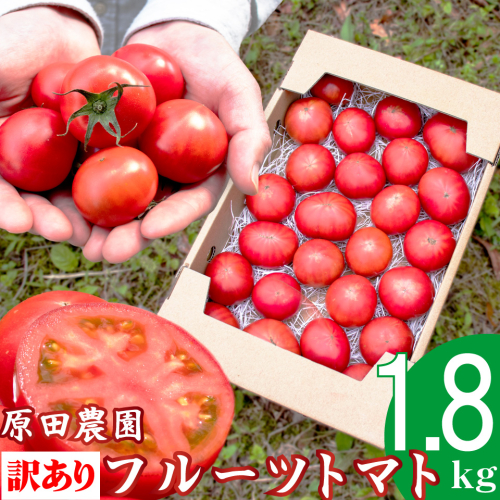 ＜2025年12月下旬頃より順次発送＞【12月下旬～5月頃発送】＜訳あり フルーツトマト 原田農園 約1.8kg 箱入＞ 桃太郎 家庭用 ワケあり 変形 キズあり 高知県 佐川町　＜当期分は毎年4月上旬頃まで申込受付＞