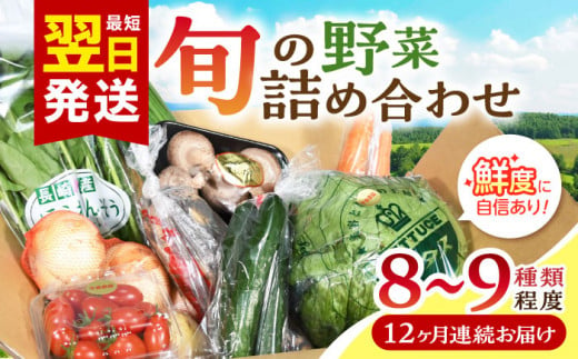 【全12回定期便】諫早産野菜の詰め合わせ 8〜9品目程度 / 野菜 やさい 旬野菜 旬 新鮮 詰合せ セット たまねぎ なす トマト れんこん きのこ 大根  / 諫早市 / 肥前グローカル株式会社  [AHDI003]