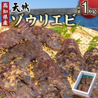 幻の天然ゾウリエビ１kg（サイズおまかせ）※着日指定不可※タビエビ 甲殻類 海老 地元ですら流通しない希少セミエビ科 先行予約 高知県産 エビ ゾウリエビ 冷蔵 配送 賞味期限が短い 新鮮 美味しい 