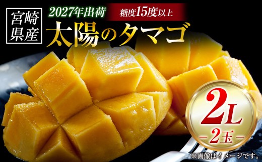 【令和9年発送 先行予約】完熟マンゴー「太陽のタマゴ」 2L×2玉（フルーツ マンゴー 完熟マンゴー アップルマンゴー 果物 くだもの 先行受付 2027 令和9年 宮崎）