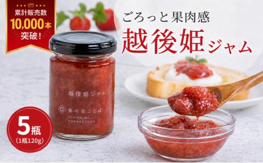 
                  越後姫ジャム5瓶 いちご イチゴ 苺 加工品 お取り寄せ 新潟 苺の花ことば
                