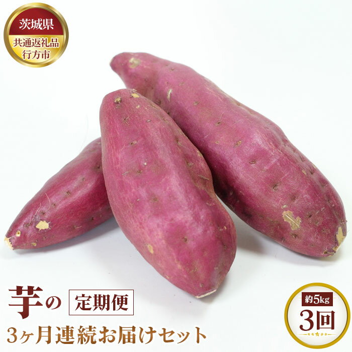 【ふるさと納税】【先行予約】芋の3ヵ月連続お届けセット　約5kg×3回【茨城県共通返礼品 行方市】 ／ 旬 新鮮 さつま芋 サツマイモ 野菜 定期便 送料無料 茨城県 No.371