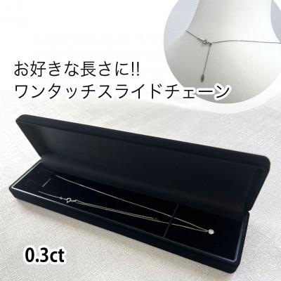 ふるさと納税 南アルプス市 【GIA】鑑定ダイヤ使用Pt900 0.3ctダイヤモンドペンダント Dカラー/VVS1/3Exce |  | 02