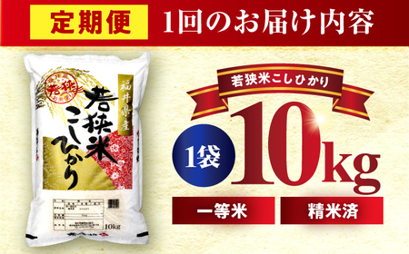 【4回定期便/3ヶ月に1回】 福井県産 コシヒカリ 精米 (白米) 10kg 一等級　福井県米 /甘みと粘りが際立つ 王道米 こしひかり 小浜市 / 若狭ふれあい市場[BFEL032]