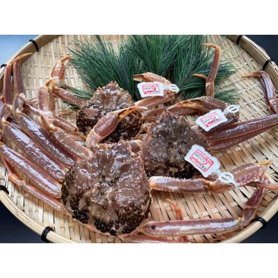 ふるさと納税 岩美町 鳥取県網代産　訳あり松葉がに1kgセット | 