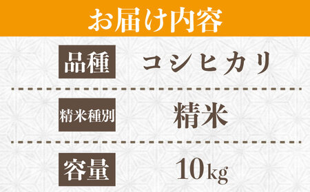 コシヒカリ 10kg 令和7年産 コシヒカリ