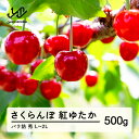 【ふるさと納税】 ≪先行予約≫ 2025年 山形県産 さくらんぼ 紅ゆたか バラ詰め 500g 秀 L-2L サクランボ 送料無料 tj-byslb500 沖縄・離島への配送不可 tj-byslb500