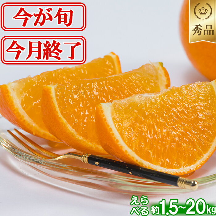 【ふるさと納税】今村農園のおひさまきらりん 約1.5〜20kg【秀品】 先行予約 果物 フルーツ 大容量 1.5kg 2.5kg 5kg 10kg 20kg ＜107-705_7＞