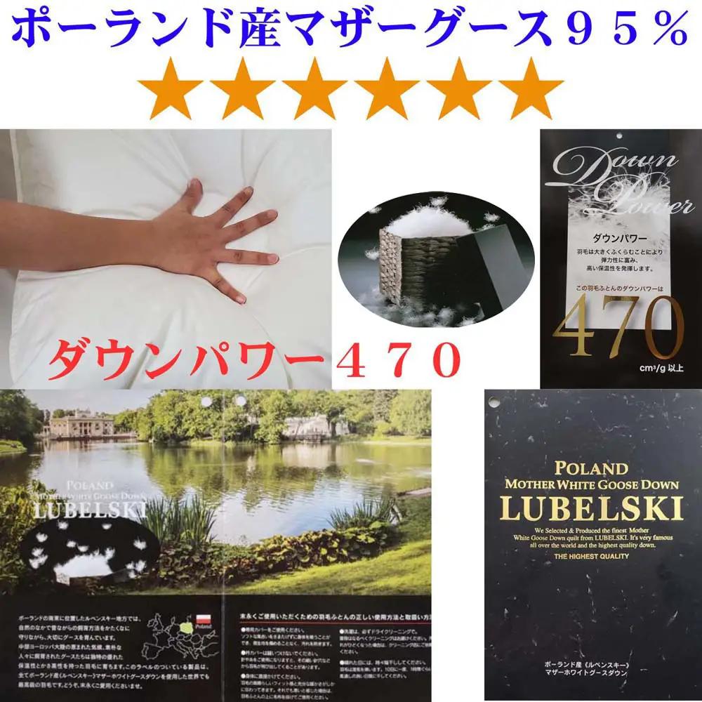 羽毛【合掛け布団】ポーランド産マザーグース９５％  クィーン 【CK391】