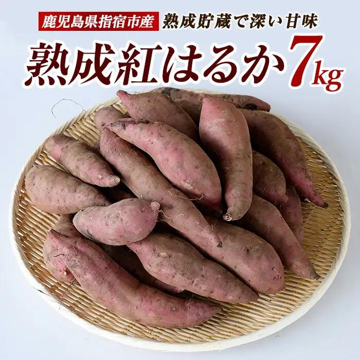 2026年11月上旬～発送 指宿産 紅はるか 約7kg IB066-006 さつまいも