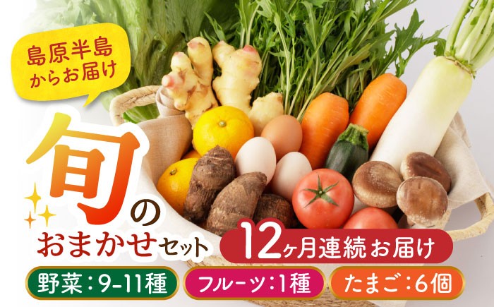 
                  野菜定期便【全12回】野菜9～11種・フルーツ1種・卵6個 旬のおまかせセット 長崎県/舞岳の里 [42ACAC002] 野菜 やさい 果物 セット 詰め合わせ 詰合せ 産地 直送 国産 たまご メロン いちご ピオーネ 野菜セット12ヶ月 12か月 1年
                