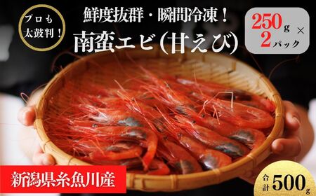 南蛮エビ 日本海直送鮮度抜群！糸魚川産『甘えび』250g×2パック  甘くとろける格別の味  際立つ甘さと鮮やかさ【プロも太鼓判！】