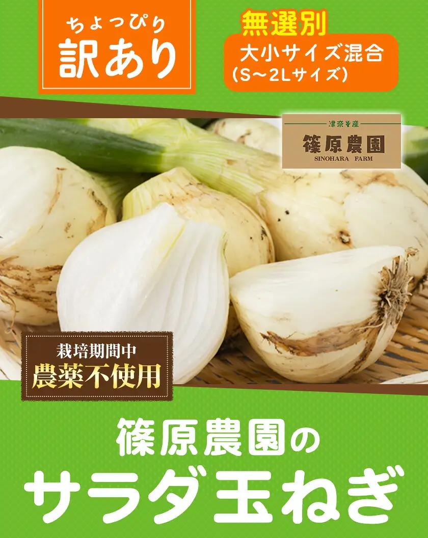 玉ねぎ サラダ 3kg 玉ねぎ