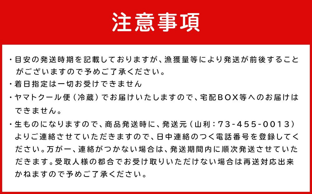 七代目 山利 釜あげしらす 300ｇ 天日干しちりめん 230ｇ パック入り お試しセット 秋しらす 【2026年発送】