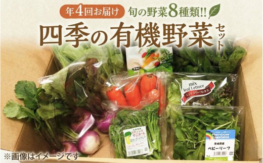 【 定期便 年4回お届け！】四季の 有機野菜 色とりどりセット  30品 野菜 野菜セット 詰め合わせ 有機 JAS認定 おまかせ 野菜スティック レインボーフューチャー 関東 茨城 筑西