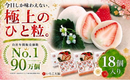 【先行予約】「まるごとワイド」で絶賛！午前0時のいちご大福6個入 3箱 ｜菓子 和菓子 生菓子 だいふく 白あん あんこ お土産 おやつ スイーツ 期間限定 静岡県 伊豆の国市