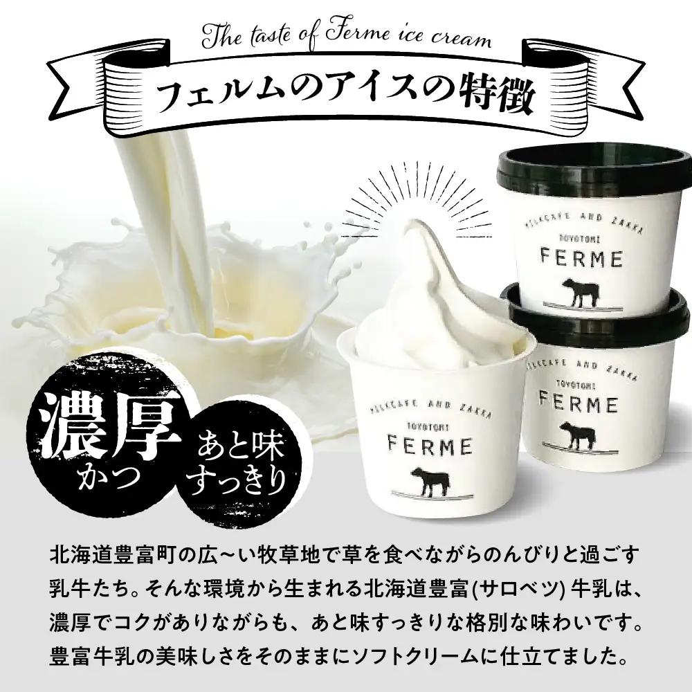 【6か月定期便】とよとみ牛乳ソフトクリーム【3種セット  計12個】