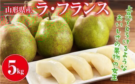 ≪2026年先行予約≫山形県産 西洋梨 ラ・フランス 5kg(14～20個) 2026年11月上旬から順次発送 洋梨 ラフランス 秋果実 果物 くだもの フルーツ 自宅用 産地直送 山形県 西川町 月山 FYN9-387