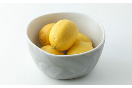 【美濃焼】likestone ISHIBOWL_S イシボウル ペア【芳泉窯】【TOKI MINOYAKI返礼品】食器 鉢 副菜鉢 サラダボウル セット ペア 夫婦 カップル 大理石調 陶器 土物 白