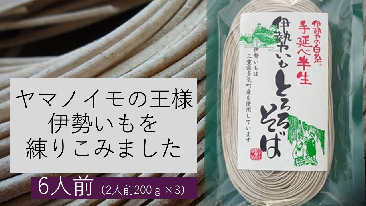 【ふるさと納税】伊勢いも入り手延べ半生とろろそば 三重県多気町 gf-23