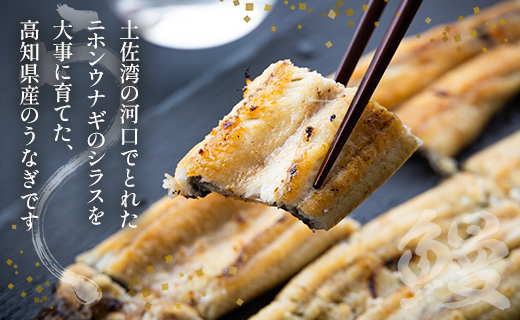 うなぎ白焼き 高知県産うなぎの白焼き 150～180ｇ×3尾 - エコ包装 国産 うなぎ 白焼き 鰻 冷凍 高知 yw-0115