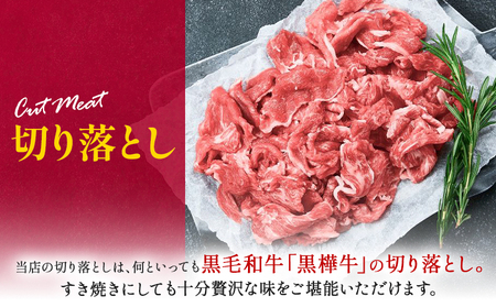 熊本県産 黒毛和牛 牛肉 切り落とし 600g|杉本本店