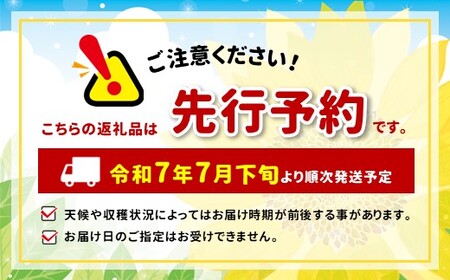 南信州産 あかつき 約5kg 秀品 | あかつき 桃 もも モモ 果物 くだもの フルーツ ジューシー 信州 南信州 送料無料 ふるさと納税 長野県 飯田市