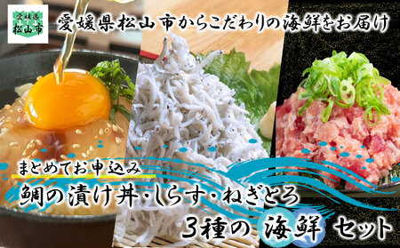 【まとめてお申込み】松山海鮮セット (釜揚げ しらす丼 魚 しらす さかな 海鮮 しらす ご飯 しらす 炒飯 じゃこ しらす  宇和島風 鯛めし 鯛茶漬け 海鮮 冷凍 小分け 鯛漬け 鯛めし 冷凍 鯛