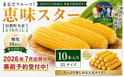 令8年7/15~25限定出荷≪10本≫糖度18度超！黒姫高原 朝採り完熟とうもろこし 恵味スター／TAKA農園　　