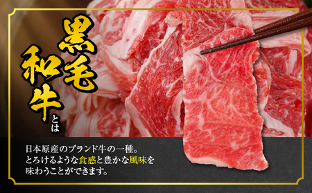 【黒毛和牛】切り落とし1.5kg(250g×6パック)_MJ-I903_(都城市) 牛肉 国産黒毛和牛 外モモ ウデ マル バラ モモ ブリスケ 切り落とし 250g×6パック 小分けパック