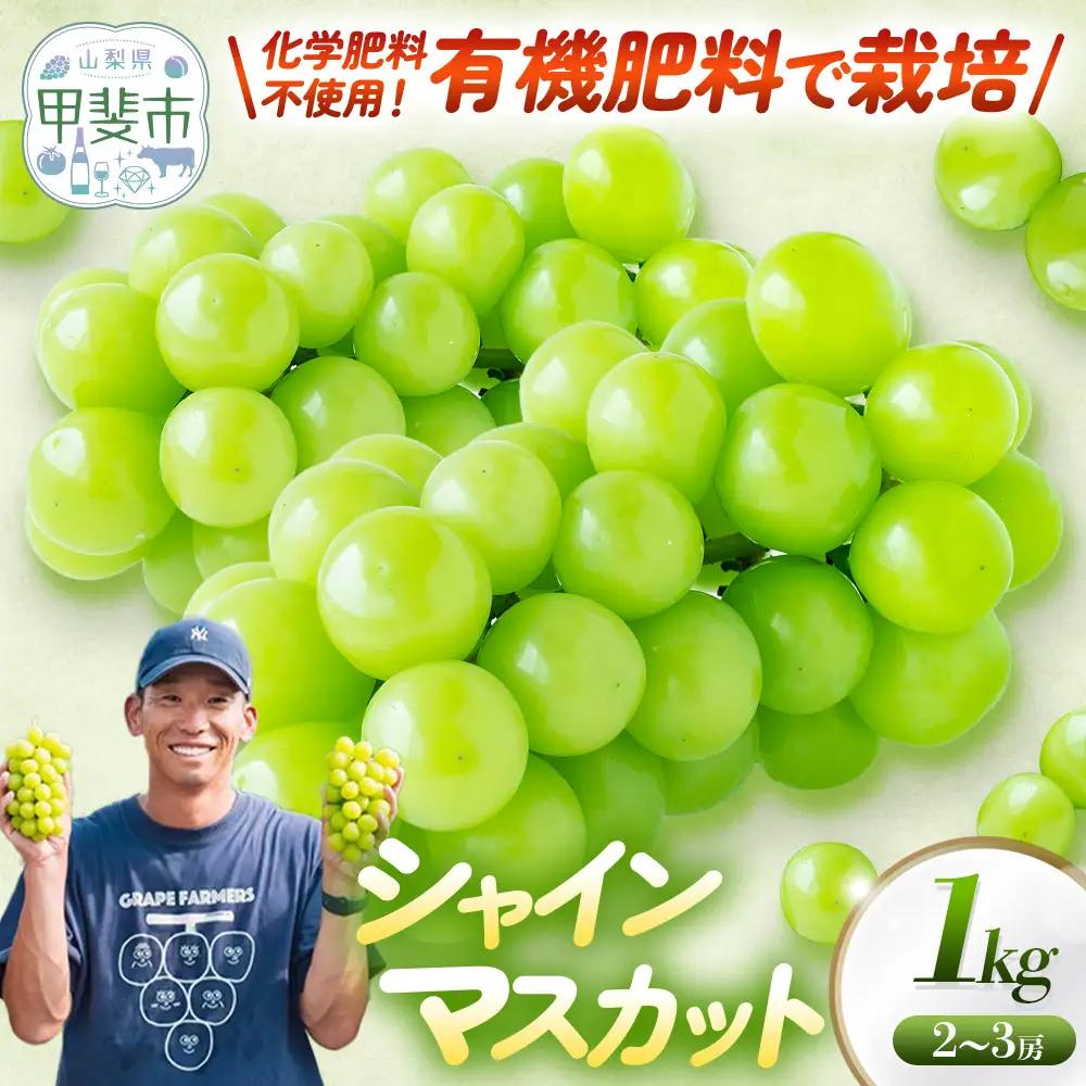 山梨県 甲斐市産 シャインマスカット1㎏ 山梨シャインマスカット