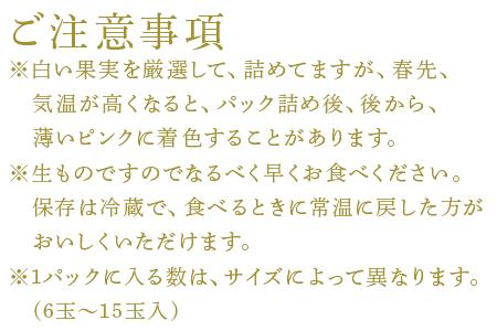 『予約受付』【令和6年2月中旬発送】唐津産 白いちご「雪うさぎ」苺 イチゴ 希少 果物 フルーツ ハマファーム