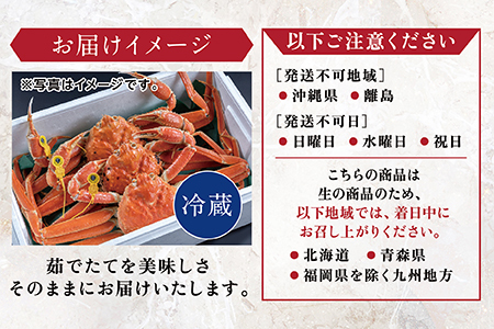 【2026年発送】越前がに（オス）「ずわいがに」（400g～600g） 1杯