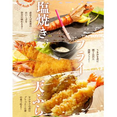 ふるさと納税 由良町 紀州和歌山産天然足赤えび540g×2箱(270g×4パック)　化粧箱入 |  | 01