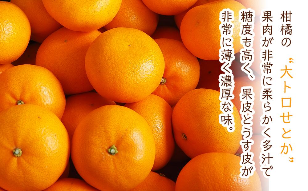 旬の柑橘詰め合わせ（約3kg）2026年3月上旬〜発送予定【みかん せとか しらぬい はるか 柑橘 果物 フルーツ 産地直送 人気 おすすめ 瀬戸内 広島県  尾道市】