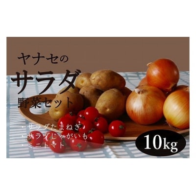 サラダ野菜セット　約10kg　ヤナセ農園/013-27092-b01A