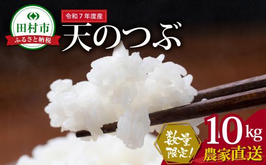 数量限定 【令和7年産】田村産 天のつぶ 10kg ( 10kg(紙袋) × 1袋 ) 農家直送 お米 白米 精米したてを発送 贈答 米 コメ ご飯 単一米 精米 国産 おすすめ 生活応援 福島県 田村市 井堀利男