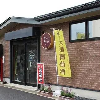 大浦葡萄酒 人気葡萄酒 1.8L×2本セット 『(有)大浦葡萄酒』 赤ワイン 白ワイン 甘口 辛口 酒 山形県 南陽市 [1895]