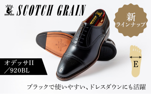 スコッチグレイン ビジネスシューズ メンズ オデッサII 920BL セミブローグ 革靴 本革 日本製 E 送料無料 ギフト【26.0cm】 [№5619-7710]1553