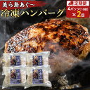 【ふるさと納税】【2ヶ月定期便】【美ら島あぐ～】冷凍ハンバーグ | 食品 おかず 加工食品 洋食 人気 おすすめ 送料無料