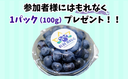 ブルーベリー狩り チケット 2名様 千葉県 銚子市 ふるさと納税 ブルーベリー フルーツ狩り フルーツ 果物狩り 果物 チケット ブルーベリー狩り ブルーベリー摘み 6月 7月 8月 AGRIMOVA