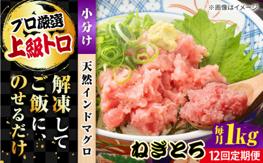 【全12回定期便】天然 まぐろ ねぎとろ 約1kg（約250g×4パック）マグロ ねぎとろ 鮪 マグロ 魚 ネギトロ まぐろたたき 海鮮 海鮮丼 ねぎとろ巻き 小分け 横須賀【横須賀商工会議所 おもてなしギフト事務局（本まぐろ直売所 横須賀本店）】 [AKAK046]