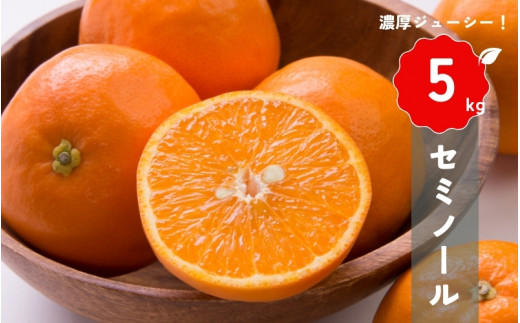 【先行予約】橋本農園の セミノール 5kg 【2027年3月中旬から4月中旬に順次発送】 / セミノール 柑橘 フルーツ 果物 くだもの 先行予約