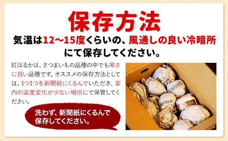 訳あり紅はるか サツマイモ 5kg 《2026年1月上旬-5月末頃出荷予定》紅はるか さつまいも 熊本県 大津町 イモ 芋 さつまいも 訳あり