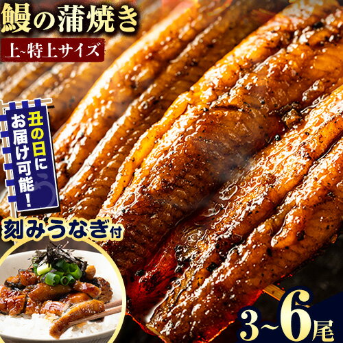 【ふるさと納税】 うなぎ 鰻の蒲焼 3尾～6尾 きざみ鰻付 たれ・山椒のセット《選べる出荷時期》| うなぎ 鰻 鰻の蒲焼き 高級 蒲焼 国産 選べる 土用の丑の日 ウナギ 送料無料 徳島県 上板町