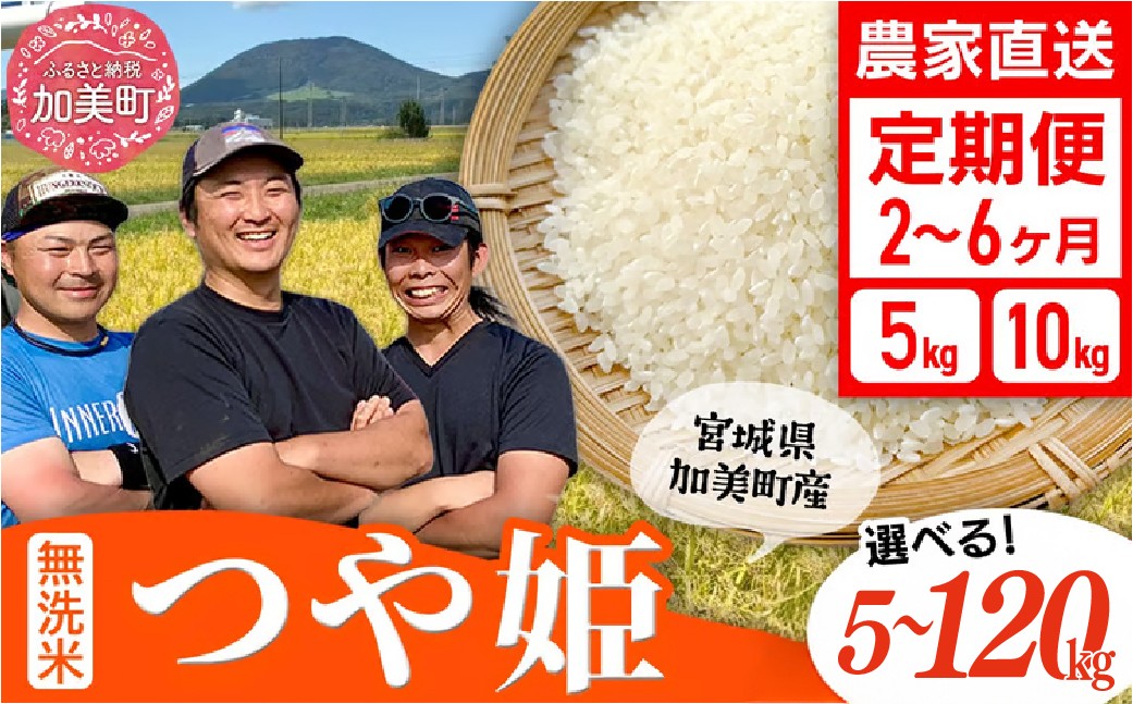 
                  【新米予約】つや姫 無洗米 定期便 5kg / 10kg 【選べる配送回数:2〜12回】 令和8年産 先行予約（2026年10月中旬～発送） 米 宮城県産 加美町産 白米 精米 ご飯 ごはん コメ こめ お米 小分け 家庭用 結心ファーム [ 宮城県 加美町 ]   [yu-th-mu-r8-t-oya] 
                