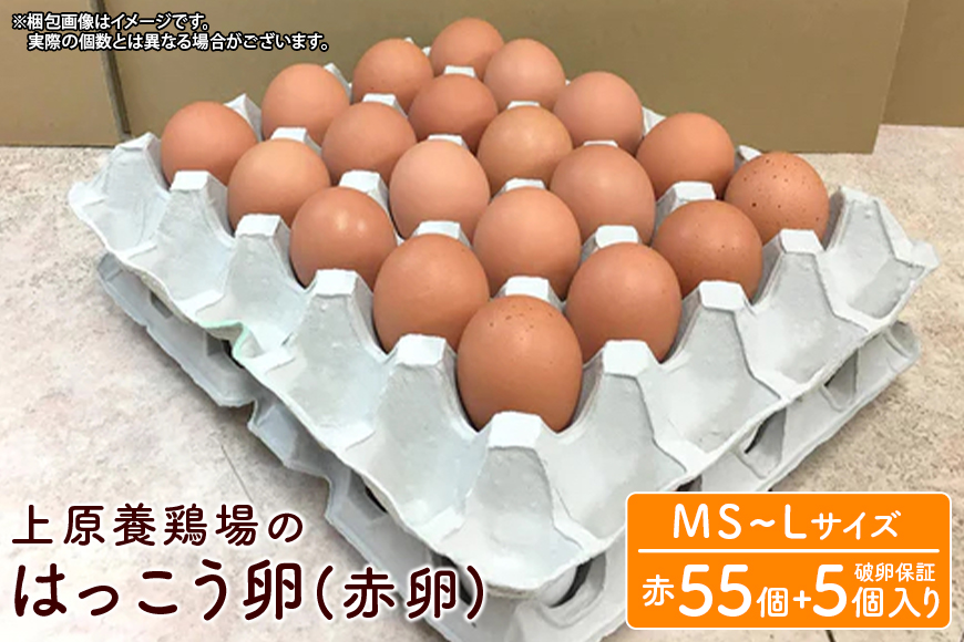 上原養鶏場のはっこう卵(赤卵）MS~Lサイズ 55個+破卵保障5個 115-5